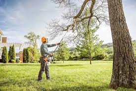 Best Fruit Tree Pruning  in Lancaster, WI