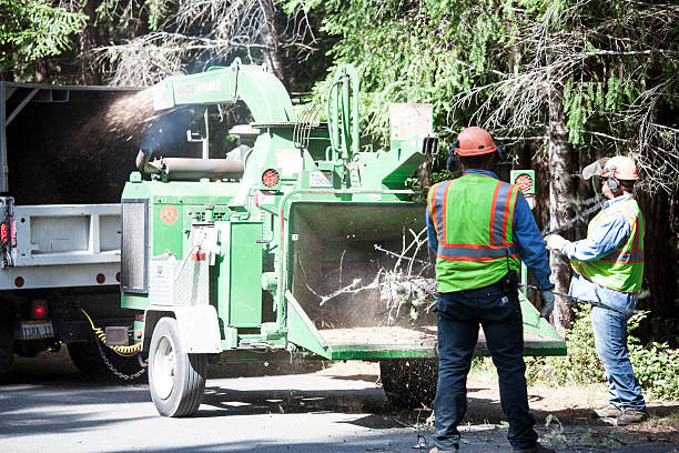 Seasonal Cleanup in Lancaster, WI